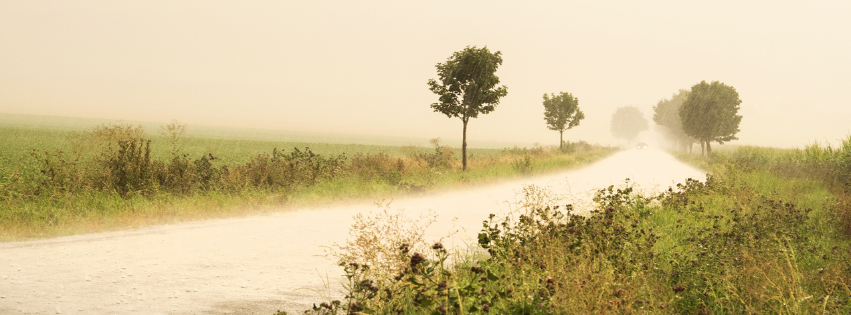 Individual painting lesson